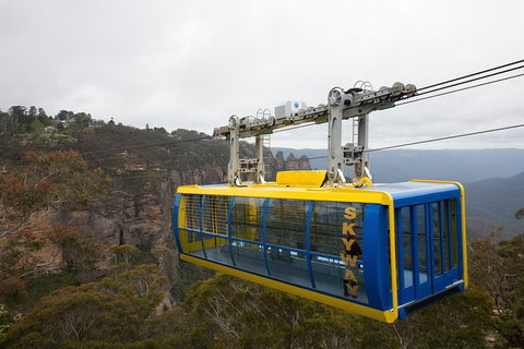 All-Inclusive Blue Mountains Tour In A Luxury Mercedes Sprinter - Darwin Holiday 10