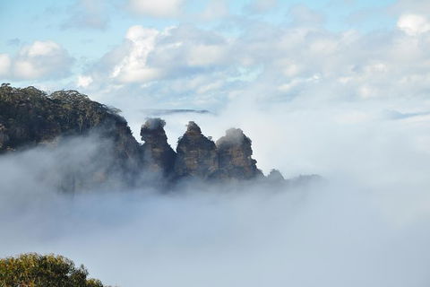 All-Inclusive Blue Mountains Tour In A Luxury Mercedes Sprinter - Darwin Holiday 15