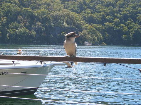 Lunch At Cottage Point Inn By Seaplane From Sydney - Darwin Holiday 12