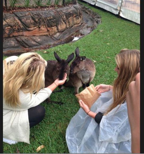Port Stephens Day Tour With Dolphin Watching, Sandboarding & Australian Wildlife - Darwin Holiday 15
