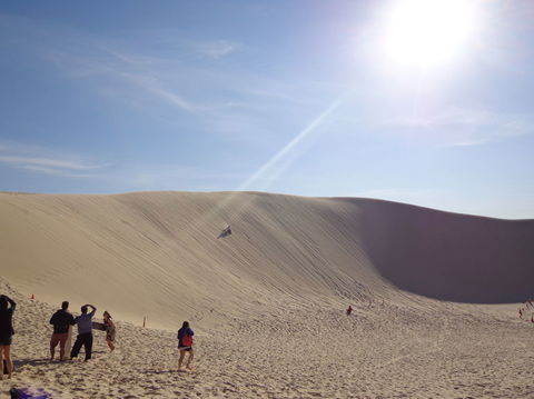 Port Stephens Day Tour With Dolphin Watching, Sandboarding & Australian Wildlife - Darwin Holiday 21