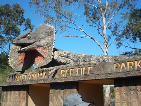 Port Stephens Day Tour With Dolphin Watching, Sandboarding & Australian Wildlife - Darwin Holiday 7