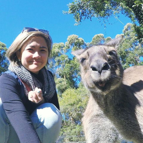 Port Stephens Day Tour With Dolphin Watching, Sandboarding & Australian Wildlife - Darwin Holiday 12