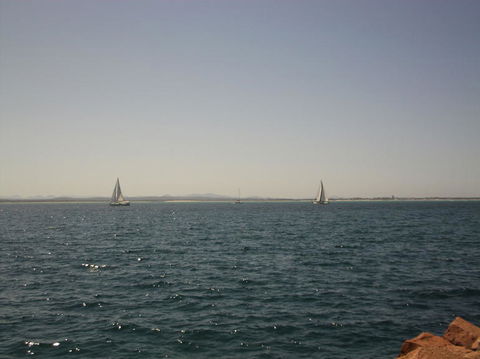 Port Stephens Day Tour With Dolphin Watching, Sandboarding & Australian Wildlife - Darwin Holiday 3