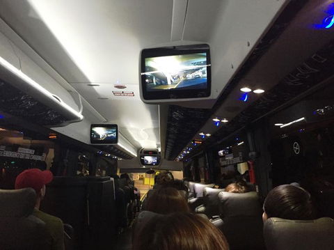 Port Stephens Day Tour With Dolphin Watching, Sandboarding & Australian Wildlife - Darwin Holiday 16