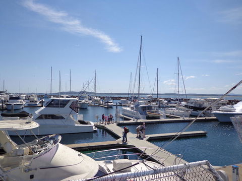 Port Stephens Day Tour With Dolphin Watching, Sandboarding & Australian Wildlife - Darwin Holiday 24