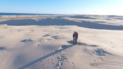 Port Stephens Day Tour With Dolphin Watching, Sandboarding & Australian Wildlife - Darwin Holiday 10