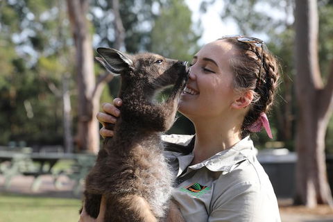 Port Stephens Day Tour With Dolphin Watching, Sandboarding & Australian Wildlife - Darwin Holiday 1