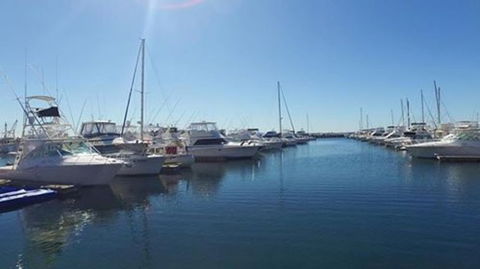 Port Stephens Day Tour With Dolphin Watching, Sandboarding & Australian Wildlife - Darwin Holiday 9