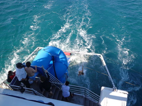 Port Stephens Day Tour With Dolphin Watching, Sandboarding & Australian Wildlife - Darwin Holiday 22