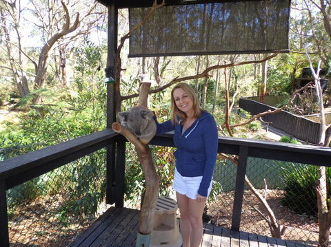 Port Stephens Day Tour With Dolphin Watching, Sandboarding & Australian Wildlife - Darwin Holiday 25