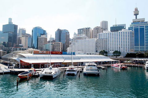 Sydney Attraction Pass: Darling Harbour Experience Ticket - Darwin Holiday 0
