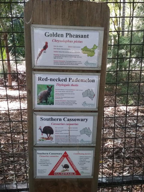 Blue Mountains Nature And Wildlife Day Tour From Sydney - Darwin Holiday 3