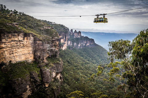 Blue Mountains Nature And Wildlife Day Tour From Sydney - Darwin Holiday 19