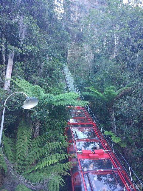 Blue Mountains Nature And Wildlife Day Tour From Sydney - Darwin Holiday 14