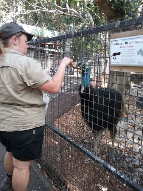 Blue Mountains Nature And Wildlife Day Tour From Sydney - Darwin Holiday 4