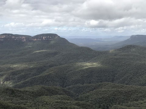 Blue Mountains Nature And Wildlife Day Tour From Sydney - Darwin Holiday 2