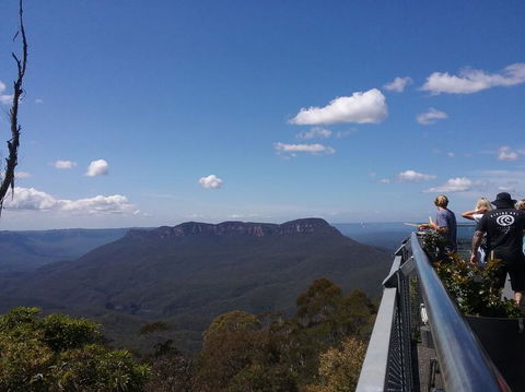 Blue Mountains Nature And Wildlife Day Tour From Sydney - Darwin Holiday 6