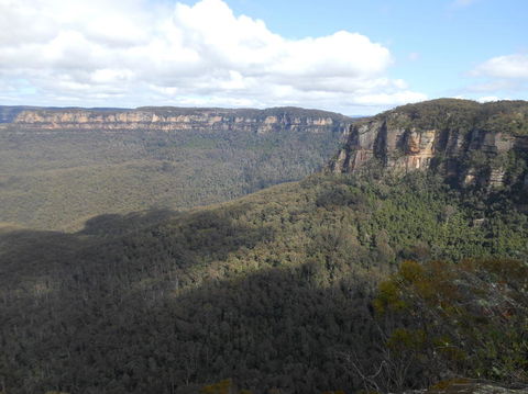 Blue Mountains Nature And Wildlife Day Tour From Sydney - Darwin Holiday 12