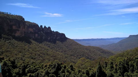 Blue Mountains Nature And Wildlife Day Tour From Sydney - Darwin Holiday 9