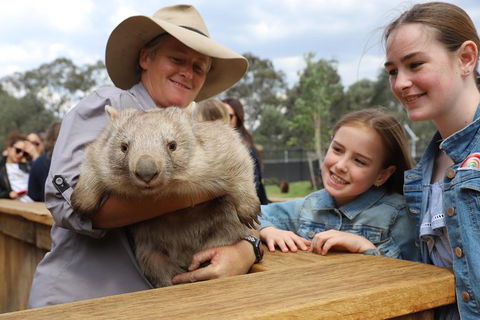 Blue Mountains Nature And Wildlife Day Tour From Sydney - Darwin Holiday 39