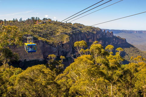Blue Mountains Nature And Wildlife Day Tour From Sydney - Darwin Holiday 38