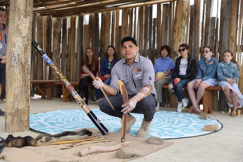 Blue Mountains Nature And Wildlife Day Tour From Sydney - Darwin Holiday 28