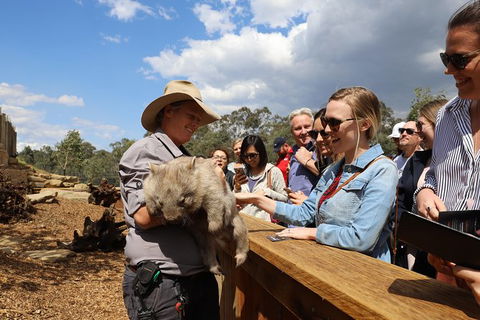 Blue Mountains Nature And Wildlife Day Tour From Sydney - Darwin Holiday 35