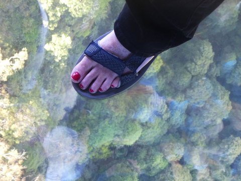 Blue Mountains Day Trip From Sydney Including Scenic World - Darwin Holiday 1