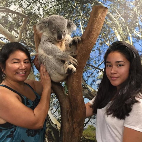 Blue Mountains Day Trip From Sydney Including Scenic World - Darwin Holiday 5