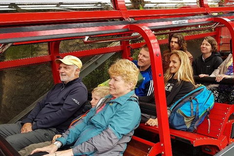 Blue Mountains Ultimate One-Day Tour - Darwin Holiday 12