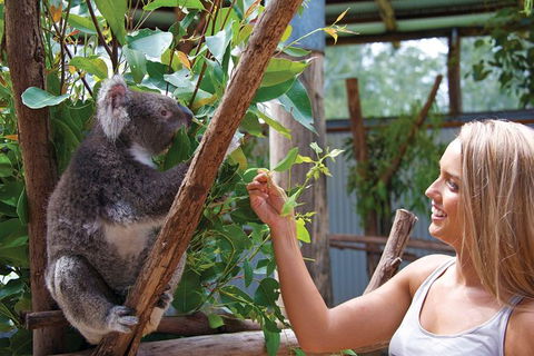 Private Guided Tour: Blue Mountains Tour From Sydney - Darwin Holiday 8