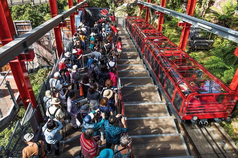 Private Guided Tour: Blue Mountains Tour From Sydney - Darwin Holiday 10