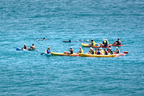 The Byron Bay Sea Kayak Tour - Darwin Holiday 12