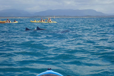 The Byron Bay Sea Kayak Tour - Darwin Holiday 4