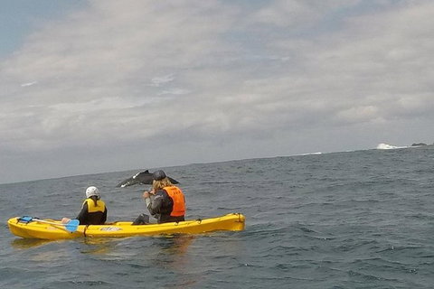 The Byron Bay Sea Kayak Tour - Darwin Holiday 6