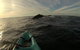 The Byron Bay Sea Kayak Tour - thumb 3