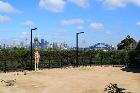 Sydney Taronga Zoo General Entry Ticket - Darwin Holiday 3