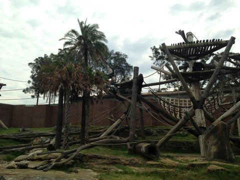 Sydney Taronga Zoo General Entry Ticket - Darwin Holiday 20