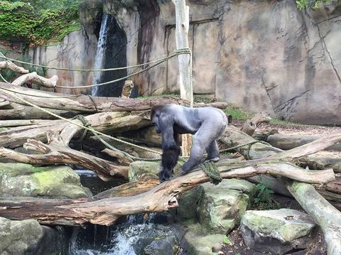 Sydney Taronga Zoo General Entry Ticket - Darwin Holiday 10