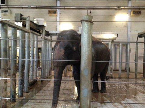 Sydney Taronga Zoo General Entry Ticket - Darwin Holiday 17