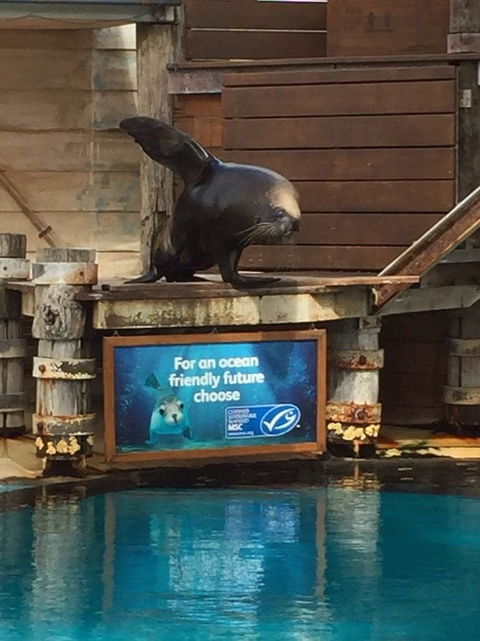 Sydney Taronga Zoo General Entry Ticket - Darwin Holiday 9