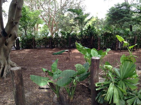 Sydney Taronga Zoo General Entry Ticket - Darwin Holiday 19