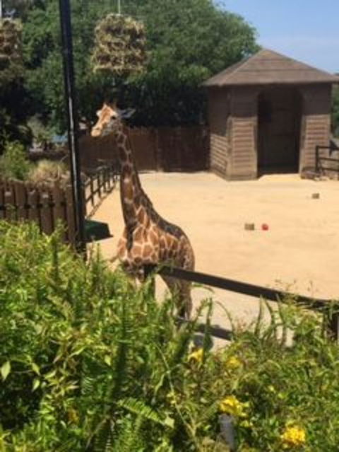 Sydney Taronga Zoo General Entry Ticket - Darwin Holiday 6