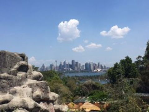 Sydney Taronga Zoo General Entry Ticket - Darwin Holiday 5