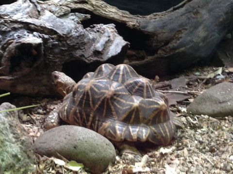 Sydney Taronga Zoo General Entry Ticket - Darwin Holiday 21