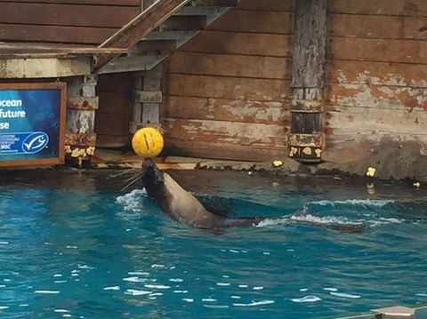 Sydney Taronga Zoo General Entry Ticket - Darwin Holiday 8