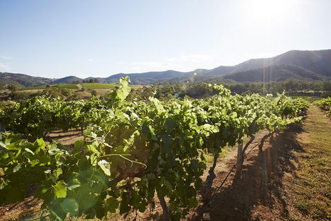 Scenic Hunter Valley Winery Tour With Boutique Wineries & Local Cheese - Darwin Holiday 6