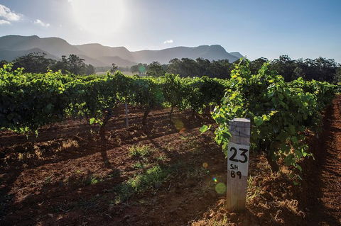 Scenic Hunter Valley Winery Tour With Boutique Wineries & Local Cheese - Darwin Holiday 9