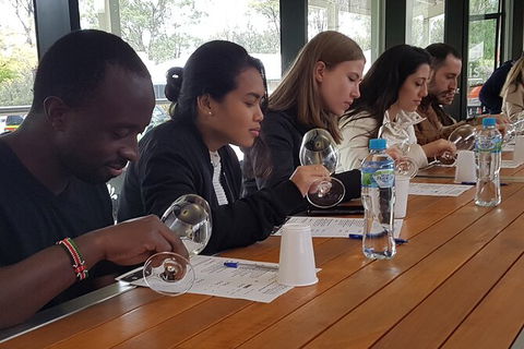 Small-Group Hunter Valley Wine Tasting Tour From Sydney - Darwin Holiday 2